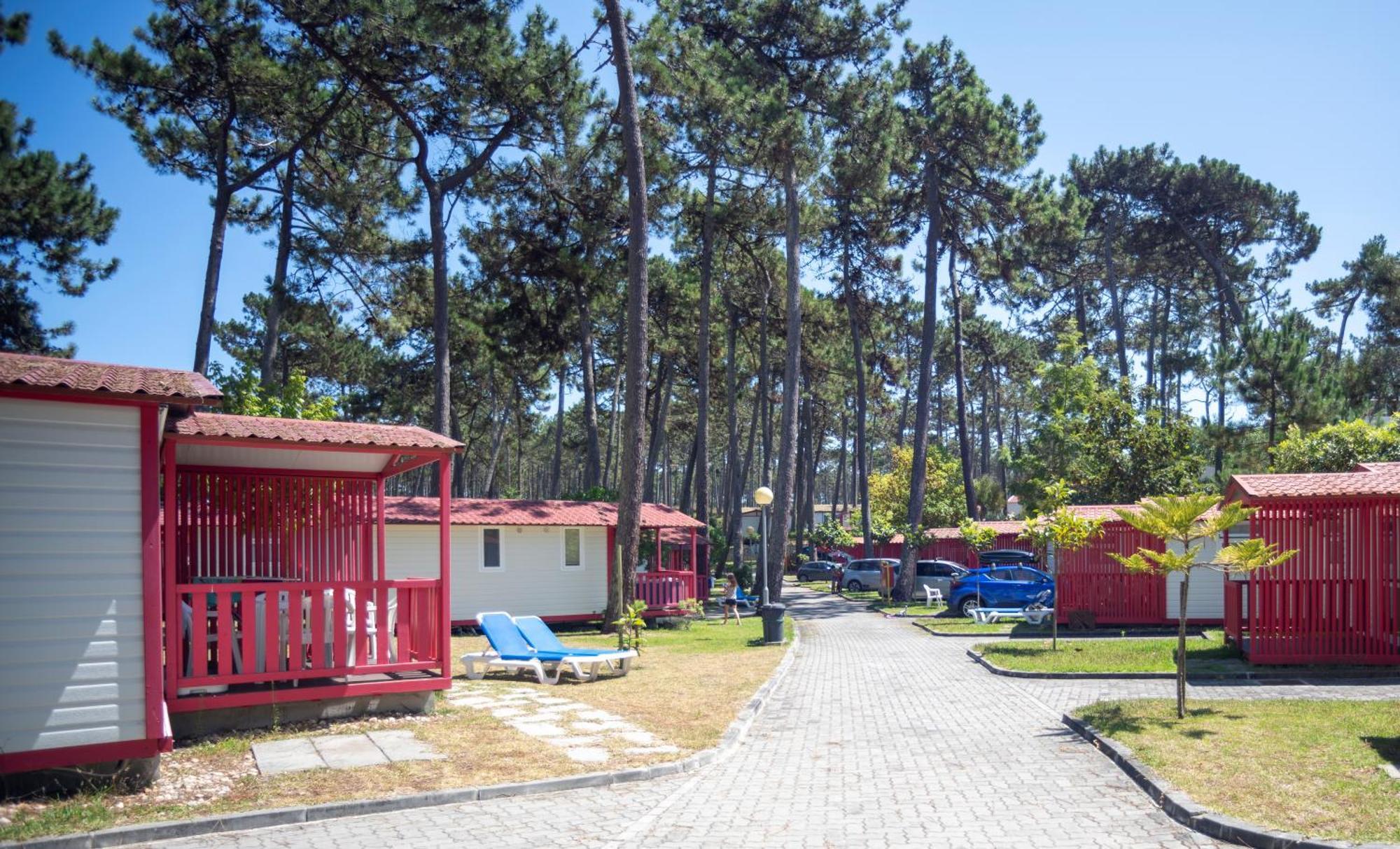 Parque De Campismo Orbitur Sao Pedro De Moel Hotel Szoba fotó